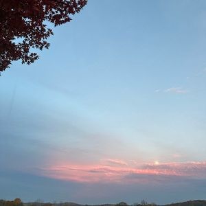 Meet your Posher, Lexi